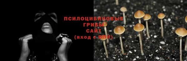 Альфа ПВП Вяземский
